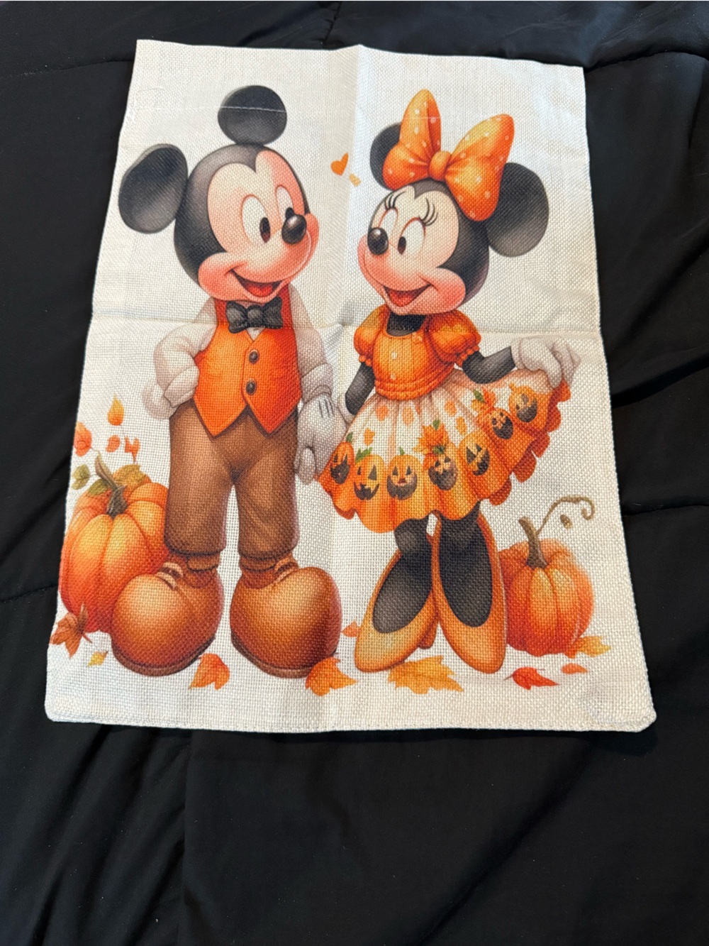 Fall Mickey & Minnie Flag - Picture 6 of 8